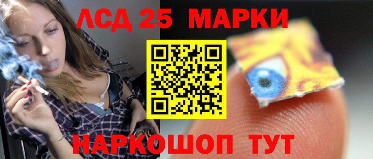 Лсд 25 экстази ecstasy  Вход с VPN  Новозыбков 