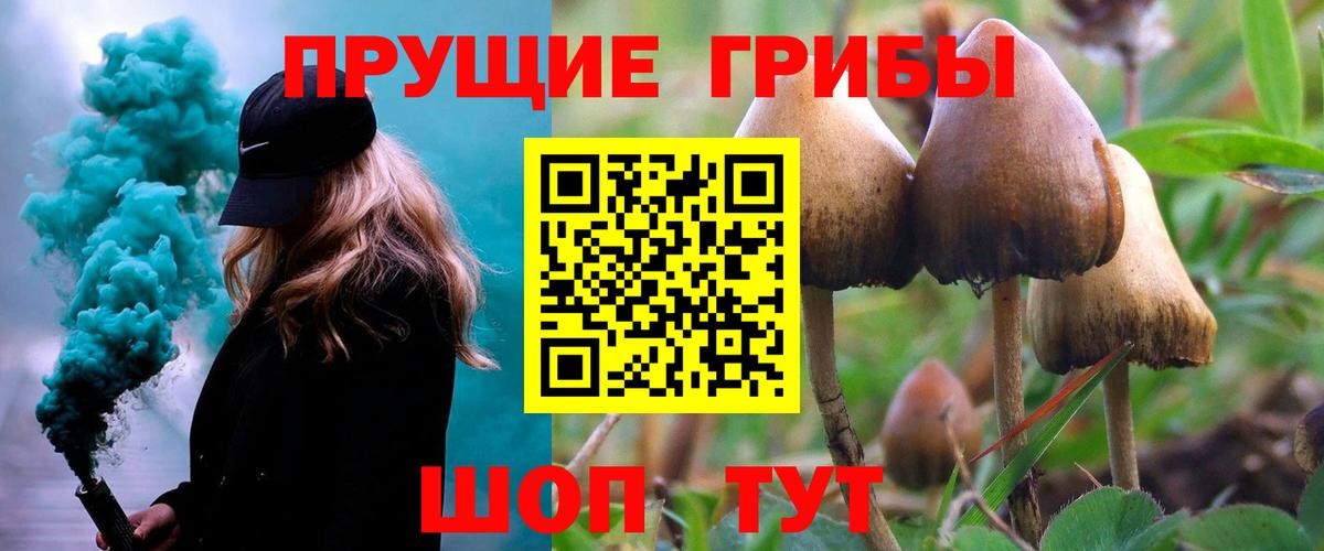 Галлюциногенные грибы GOLDEN TEACHER Новозыбков