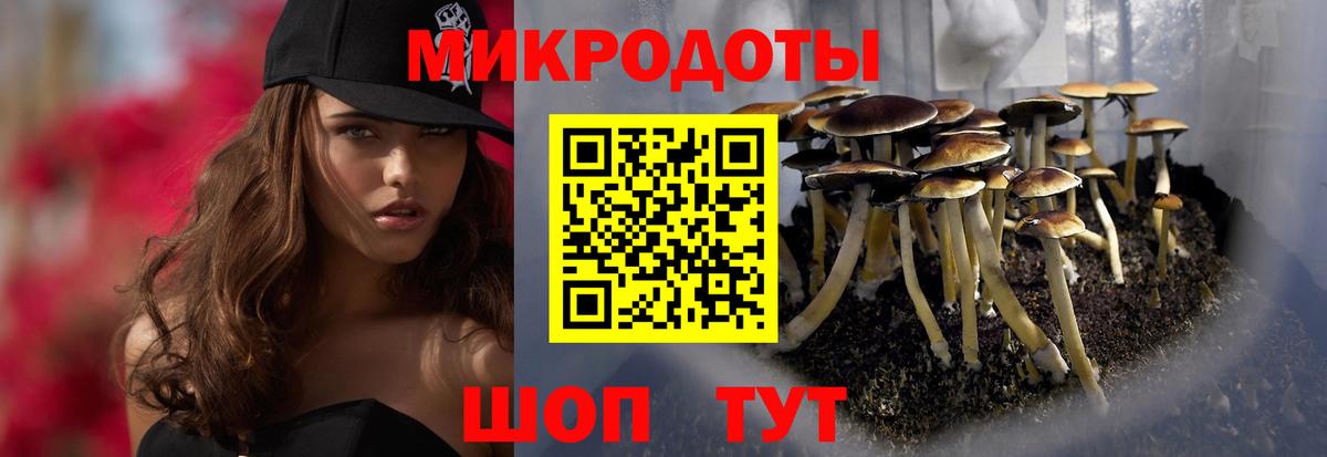 Новозыбков  Галлюциногенные грибы Psilocybine cubensis  Вход с VPN 