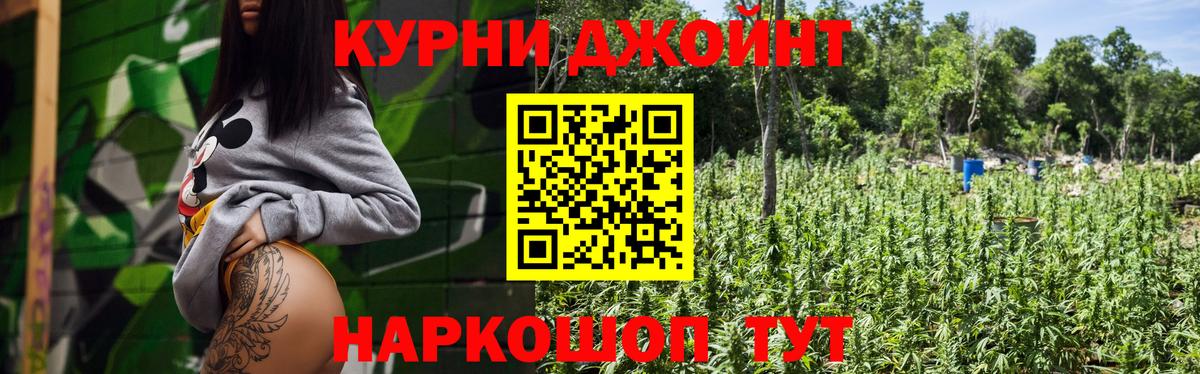 Бошки марихуана гибрид Новозыбков